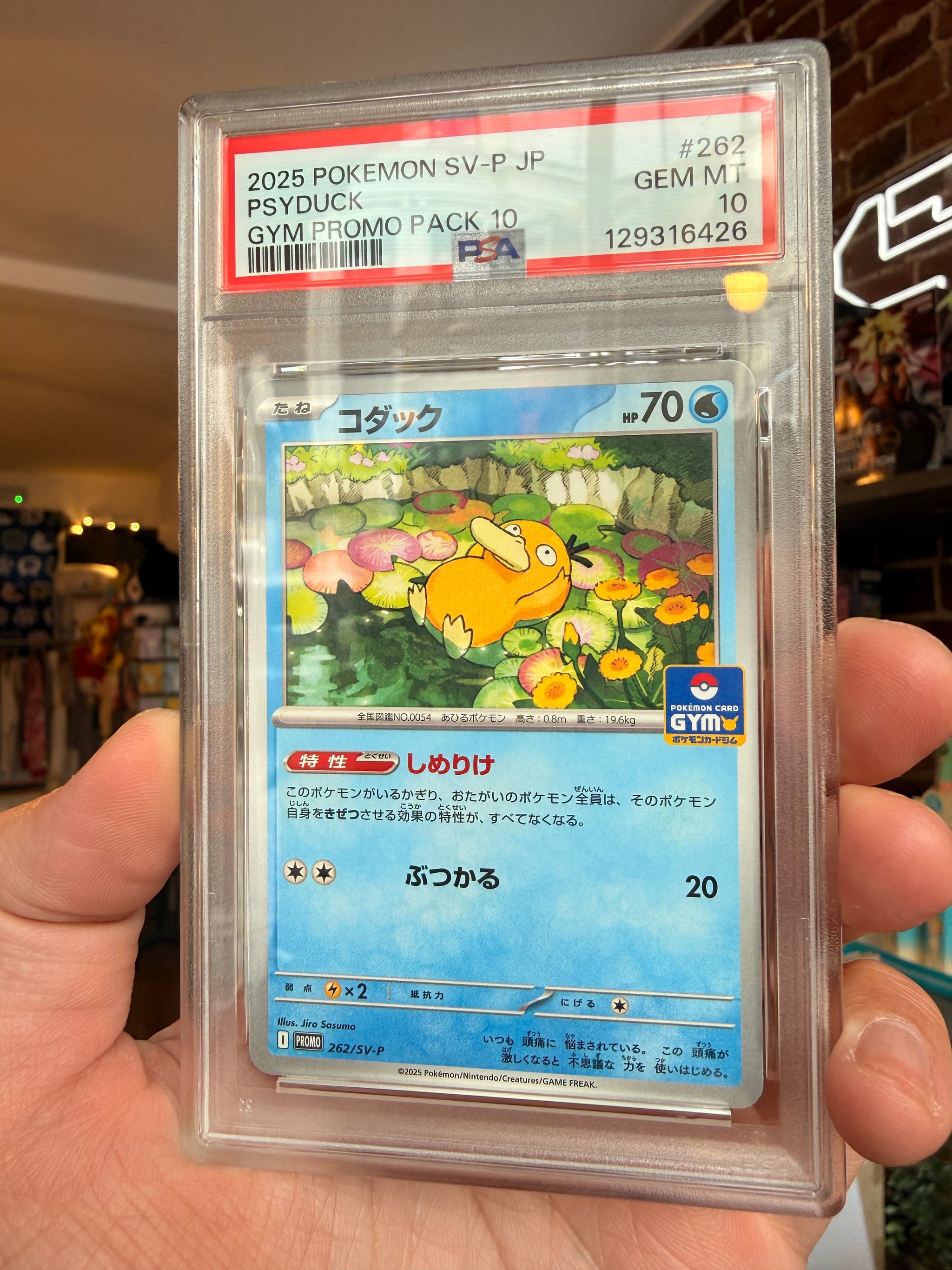 PSA10 - Psyduck -PROMO 262/SV-P - GYM PROMO - Pokemon Card