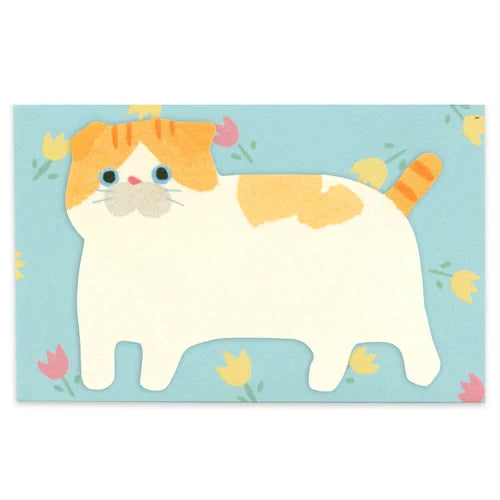 Mini Message Card - Fluffy Cat ( Blue) - Giftbox Brighton Limited
